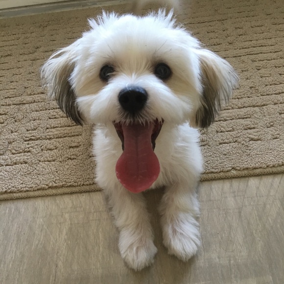 Meet your Posher, Maureen - Picture 1 of 1